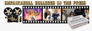 Shrinkabulls Bulldogs In The Press - Collage