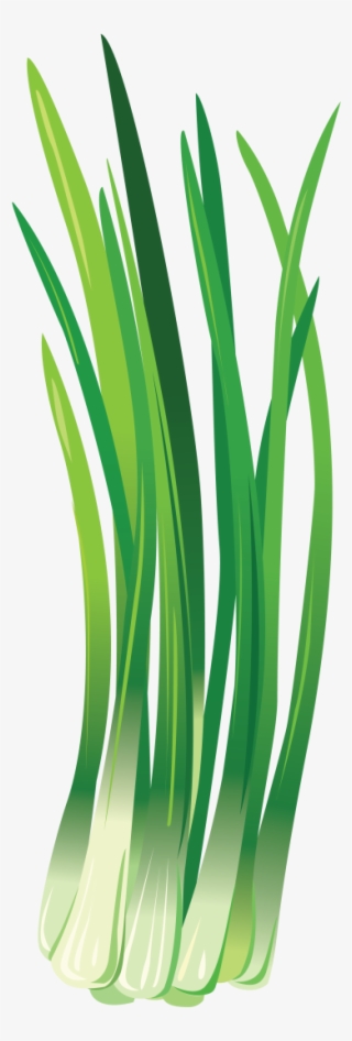 Leek Png, Download Png Image With Transparent Background, - Зеленый Лук Пнг