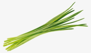 Chives Tomato Transparent Background - Erba Cipollina Png