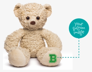 Join Donor Three Sixty - Teddy Bear
