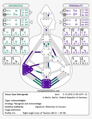Venus Retrograde Chart - Diagram