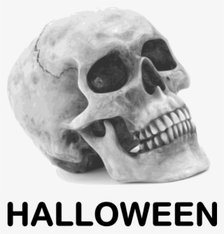 Calavera Human Skull Symbolism Halloween Drawing - Skull Public Domain