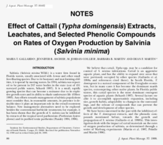 Pdf - Document