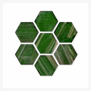 New Trend Hexagonal Mosaic Collection - Framework Of Effective Teaching