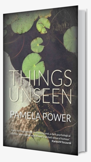 Things Unseen 3d Book Cover - Flyer