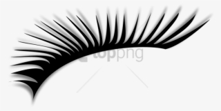 Free Png Eye Lashes Png Image With Transparent Background - Clipart Eye Lashes Png