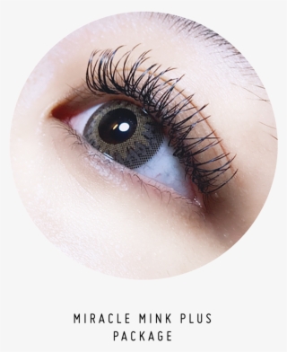 Miracle Mink Plus