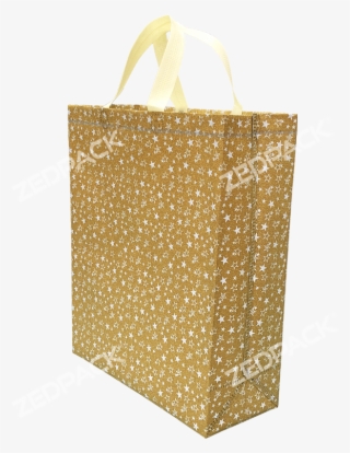 Glitter Non Woven Bag