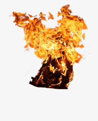 Free Png Download Fire Clipart Png Photo Png Images - Tree On Fire Png