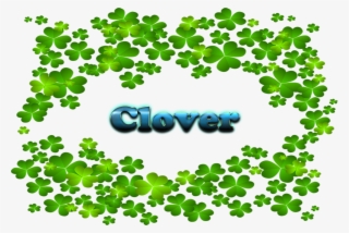 Four Leaf Clovers Clip Art