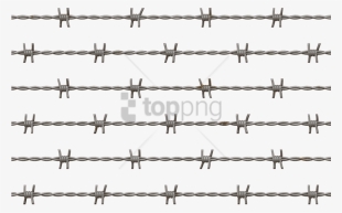 Free Png Barbed Wire Png Image With Transparent Background - Barbed Wire Transparent Background