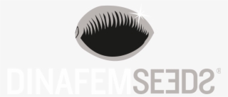 dinafem seeds is a seed bank that trades internationally - eyelash extensions