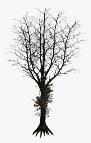 Dark Tree Png - Black Long Tree Png