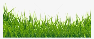 Free Png Download Grass Vector Png Images Background - Grass Png Hd