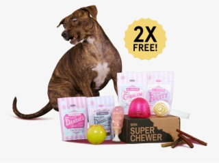 Barkbox, A Monthly Box Of Dog Goodies And Super-tough - Super Chewer Barkbox February 2019