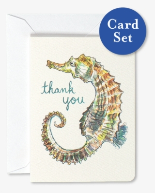 Seahorse Thank You Mini Card Set Of - Northern Seahorse