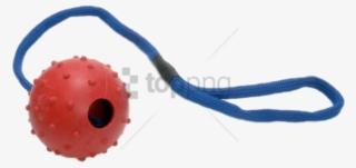Free Png Rubber Ball On Rope For Dogs Png Image With - Skipping Rope