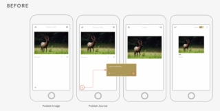 Publish Steps P - Grazing
