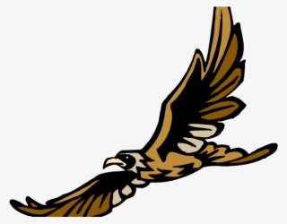 Golden Eagle Clipart Peregrine - Oakhaven High School Tn