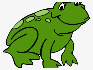 Transparent Frog Clipart