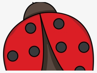 Cute Clipart Ladybug