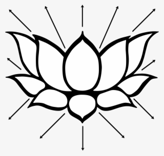 Lotus-light Healing Session - Lotus Flower Drawings Outlines