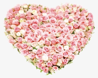 Garden Roses Beach Rose Flowers Heartshaped - Love Romantic Pink Flowers