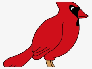 Brds Clipart Red Robin - Cedar Waxwing