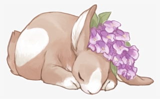 #tumblr #art #rabbit #rabbits #flower #flowers #bunny - Hydrangea