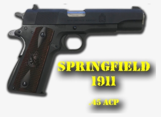 One Pistol For $17 - Trigger