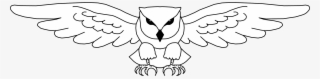 Simple Owl Line Drawing - Owl Open Wings Drawing