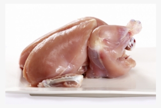 Baby Chicken 3 - Turkey Meat