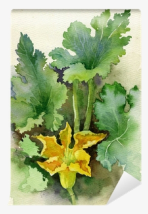 Watercolor Flora Collection - Squash Blossom