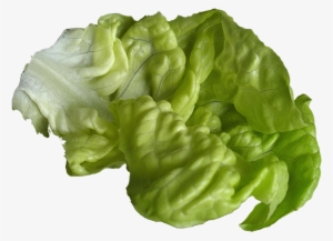 Lettuce Png Image - Lettuce