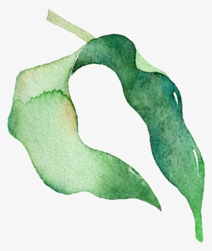 Green Watercolor Pea Leaf Cartoon Transparent Material - Leaf