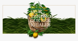 Arbol Limones Tunez - Illustration