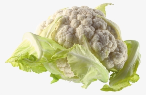 Lettuce Clipart Cauliflower - Flower Cabbage Png