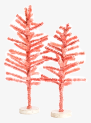 Pink Sisal Tree Mcgee & Co - Houseplant