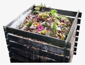 Les Sanitary Yard Waste - Home Composting