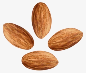 Nuts Png