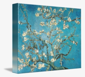 "almond Branches In Bloom By Vincent Van Gog" By The - Almond Blossom Van Gogh Original