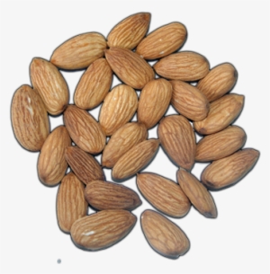 Click Here To See Almonds Album - Almond