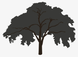 Tree,silhouette,big,tree Silhouette,clip Art,nature,dark, - Tree