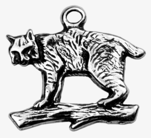 Bobcat - Illustration