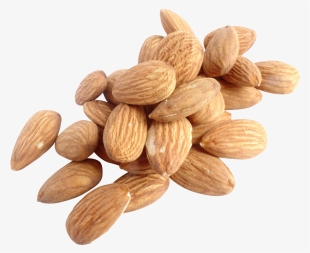 Free Png Almond Png Images Transparent - Nuts Png