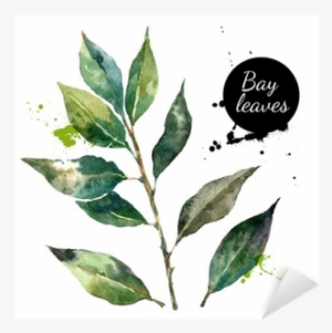Kitchen Herbs And Spices Banner - Dried Blackberry Leaf #3 Wild Leaf By Wild Foods Dried