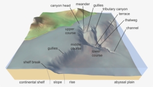 Submarine Canyon - Submarine Canyons And Gullies