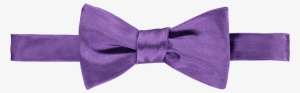 Purple Silk Bow Tie - Bow Tie