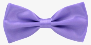 Pinion Purple Bow - Men Classic Wedding Bowtie Necktie Bow Tie Novelty