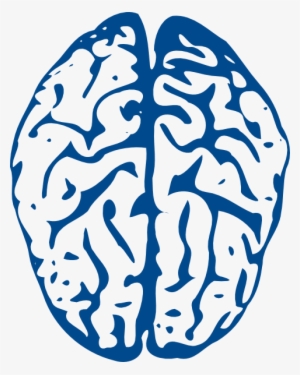 Brain Svg Clip Arts 480 X 601 Px